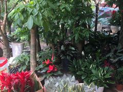 -三圣花乡旅游区