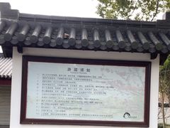 -南汇桃花村