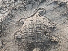 -西涌国际滨海旅游区