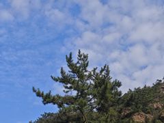 -大连金龙寺国家森林公园-售票处