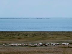 -青海湖国家重点风景名胜区