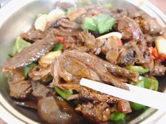 -龙小海荆沙鸽子店(瑞安街店)