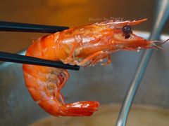 -同禧荟·港味海鲜火锅·粤菜(三亚湾店)