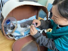 -美迦爱-牙专科·兔科·骨科诊疗中心(北苑店)