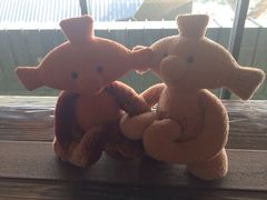 iphone_upload_pic-济州岛泰迪熊博物馆