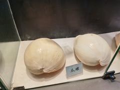 -广东惠东海龟国家级自然保护区