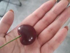 -红星农博物流中心