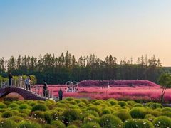 -嘉北郊野公园