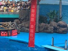 -海合安成都极地海洋公园