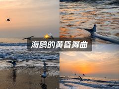 -老虎石海上公园