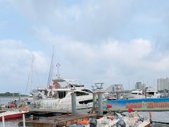 -日照世帆赛基地