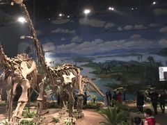 -自贡恐龙博物馆