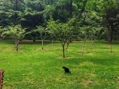 -棒棰岛宾馆景区