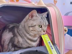 -纳吉亚猫专科动物医院博雅分院