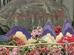 -上海醉白池公园