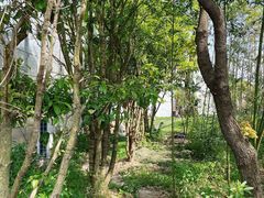 大堂-MUSEO COFFEE咖啡博物馆