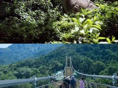 -木兰云雾山