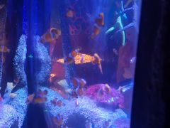 -沈阳海洋探索中心