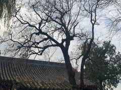 -承恩寺