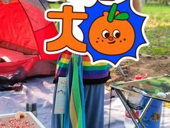 -永定河休闲森林公园