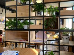 -鲜芋仙Meet Fresh(五道口店)