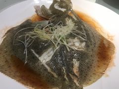 -拈菜(观音桥阳光世纪店)