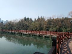 -天鹅湖体育公园