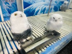 -成都浩海立方海洋公园