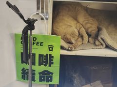 -作咖啡(养育巷店)