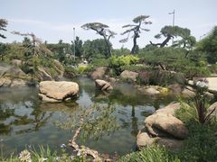 -罗红摄影艺术馆