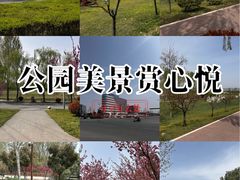 -洨河生态公园