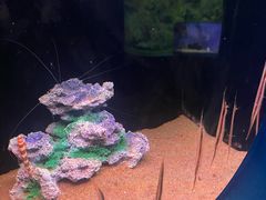 -欢乐海岸海洋奇梦馆