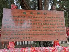 -四门塔风景区