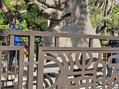 -北陵公园
