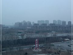 -前关湿地公园