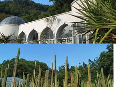 -深圳市中科院仙湖植物园