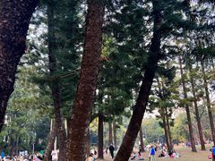 -人民公园(罗湖区)