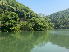 -桃花岭景区