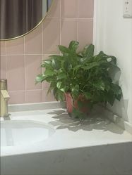 -漂亮妈妈通乳·塑形·产后恢复(奥体店)