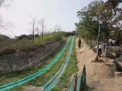 -浮来山风景区