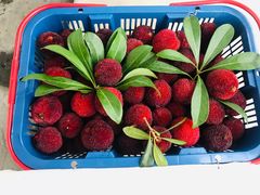 -西郊国际农产品交易中心