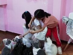 -李小姐の猫咖啡馆(五角场店)
