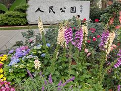 -人民公园(罗湖区)