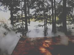 -东湖落雁景区