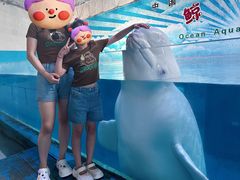-蓬莱欧乐堡海洋极地世界