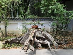 -成都杜甫草堂博物馆