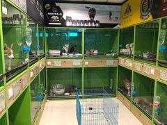 -米卢宠物公园(广华居店)