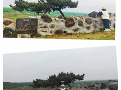 -恋山坝上草原