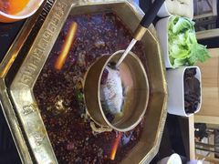 蜀九香火锅酒楼(彩虹店)-蜀九香火锅(彩虹店)
