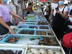 -南沙十九涌渔人码头-南门